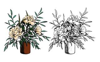 Decorative vase with peonies bouquet. Hand drawn illustration. Set of contour and color drawings isolated on white. Vintage engraving, botanical sketch. Element for design, card, print, sticker vector