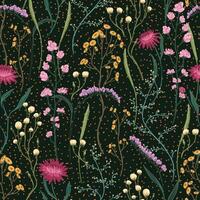 Wild flowers hand drawn seamless pattern. Abstract botanical sketches of field plants. Vintage floral background. vector