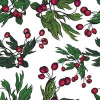 Rosehip branch hand drawn seamless pattern. Botanical ornament in sketch style. vector