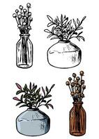 Decorative vases with plants. Hand drawn illustration of home decorations. Set of contour and color drawings isolated on white. Vintage engraving botanical sketch. vector
