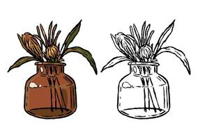 Glass jar with decorative plant. Hand drawn illustration set of contour and color drawings isolated on white. Vintage engraving botanical sketch. vector