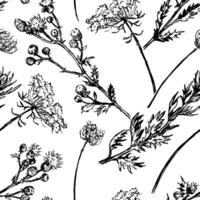 Wild plants abstract ornament. Hand drawn seamless pattern. Floral ornament in retro sketch style. Vintage botanical design for background, decor. vector