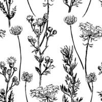 Wild plants abstract ornament. Hand drawn seamless pattern. Floral ornament in retro sketch style. Vintage botanical design for background, decor. vector