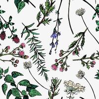 Wild plants abstract ornament. Hand drawn seamless pattern. Floral ornament in retro sketch style. Vintage botanical design for background, decor. vector