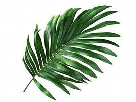 Vibrant green leaf in high resolution photo