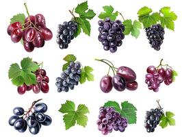 Set of ripe grapes with leaves in high resolution photo