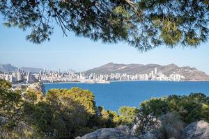 City skyline viewed through a pine branch frame, overlooking a calm sea with mountains in the distance under a blue sky. photo