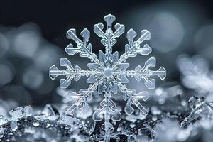 A close up of a snowflake on a black background photo