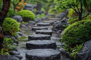 A close-up of a stone path with trees and rocks photo