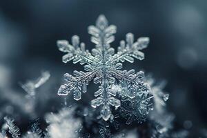 A close up of a snowflake on a black background photo