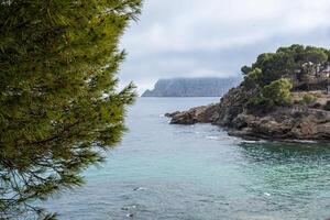 Coastal view framed by pine branches, capturing a turquoise sea against a backdrop of a fog veiled headland. photo