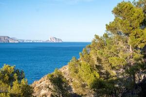 A serene view through pine trees to a calm sea with distant cliffs, bathed in the warm glow of the sun. photo