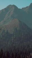 A view of a mountain range with trees in the foreground video