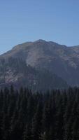 A mountain range with trees in the foreground and a blue sky in the background video