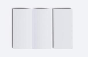 DL Bifold white color and realistic render on white background photo