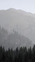 A foggy mountain with trees and mountains in the background video