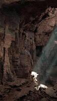 A cave with sunlight coming through the rocks video
