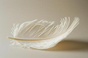 A white feather on table photo