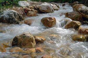 A stream of water flows over rocks in a forest photo