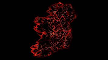 Neon frame effect map of Ireland , glow, black background. video