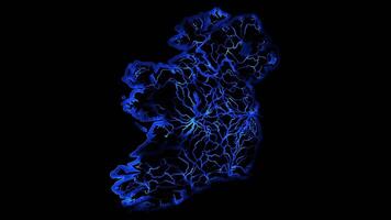 Neon frame effect map of Ireland , glow, black background. video