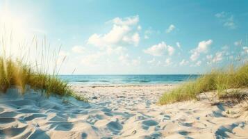 wild beach. Sea or ocean view with white sand and grass and free space photo