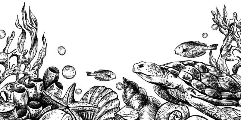 Underwater world clipart with sea animals whale, turtle, octopus, seahorse, starfish, shells, coral and algae. Graphic illustration hand drawn in black ink. Border, template, frame EPS .