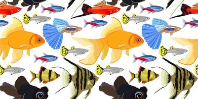 seamless pattern with colorful aquarium fishes vector