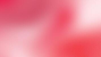 Looped red white gradient background. Liquid soft blurred color template. Love animated, sexy wavy background. Drops of blood are out of focus. Medical moving template. Sensitive Valentine video