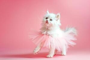 Cat wearing tutu poses in pink setup photo