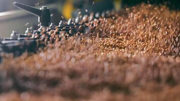 A close-up image of wheat grains being processed through agricultural machinery. The grains are in motion, highlighting the dynamic process of sorting and handling. video