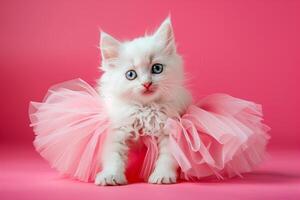 White cat in pink tutu on pink background photo