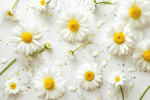 muchos blanco floraciones en blanco superficie con amarillo centros foto