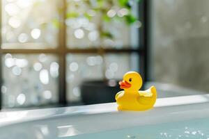 A yellow rubber duck on a bathtub photo