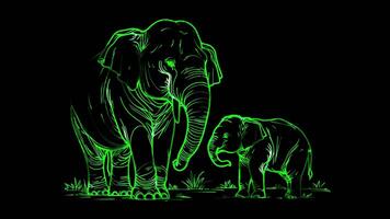Neon frame effect Asian elephants , glow, black background. video