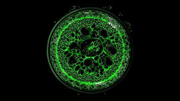 Neon frame effect Mansaf, a traditional Jordanian dish of lamb cooked in yogurt sauce, glow, black background. video