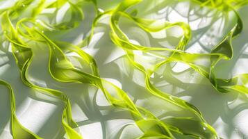 Abstract Green Curves Pattern in Modern Art photo