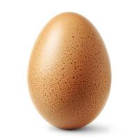 Brown egg isolated on white background with clipping path. Close up. photo