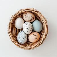 Easter eggs in a nest on a white background, top view photo