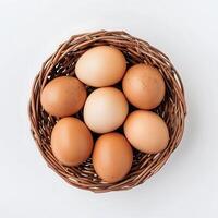 Chicken and quail eggs in a nest on a white background. photo