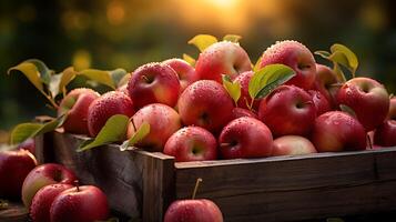 Fresh red apples in a wooden box on a table in the garden photo
