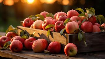 Fresh red apples in a wooden box on a table in the garden. Pile of ripe apples photo