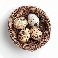 Chicken and quail eggs in a basket isolated on white background. Top view. photo