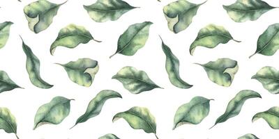 Green leaves. Hand drawn watercolor seamless pattern of greenery. Summer floral background for wedding design, textiles, wrapping paper, scrapbooking vector