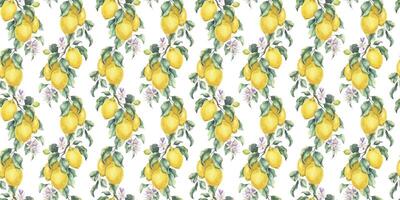Lemon Branches with fruits and leaves. Hand drawn watercolor seamless pattern. Print of Tropical citrus fruit. Background for menu, package, cosmetic, textile, cards vector