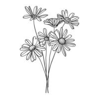 Outline bouquet chamomile or daisy flowers on stem and leaves. Hand drawn sketch isolated on white background vector