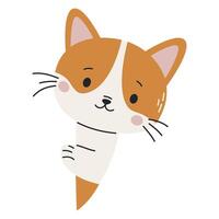 Cute ginger kitten peeking out from behind a banner. Flat illustration on white background, space for your text vector