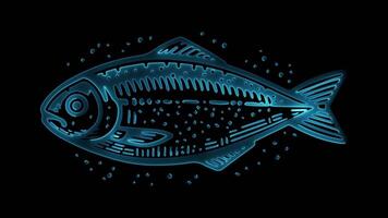Neon frame effect gabout grilled fish marinated in spices kuwait, glow, black background. video