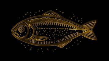 Neon frame effect gabout grilled fish marinated in spices kuwait, glow, black background. video