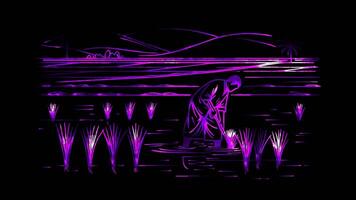 Neon frame effect depicting rice farming, glow, black background. video